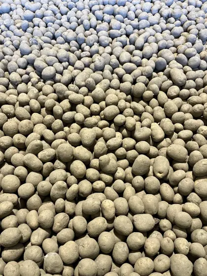 Kartoffel Eurostarch