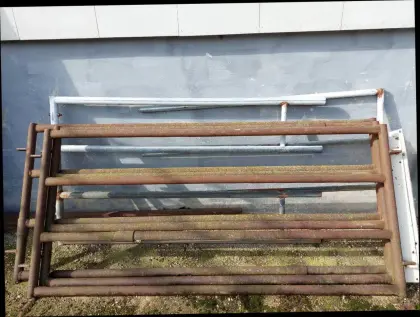 Aufstallung Rinder