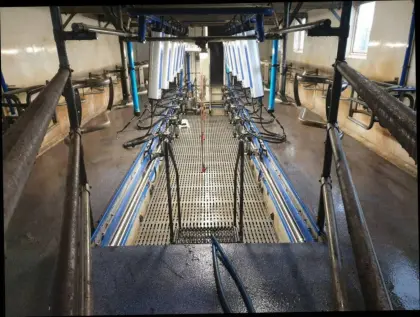 De Laval Melkstand 2x6, Bj. 2015