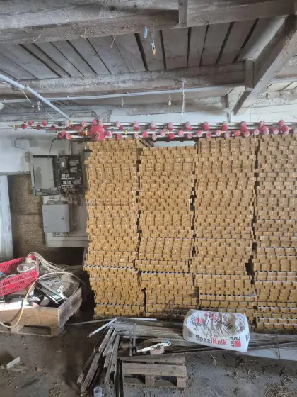 Legehennen Aufstallung