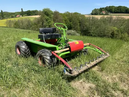 Rasant Wanze Bergtrack