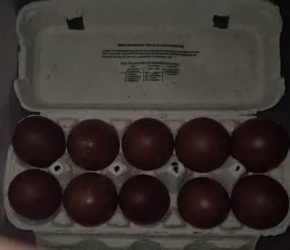 Bruteier - verschiedene Rassen, Selbstabholung oder Versand