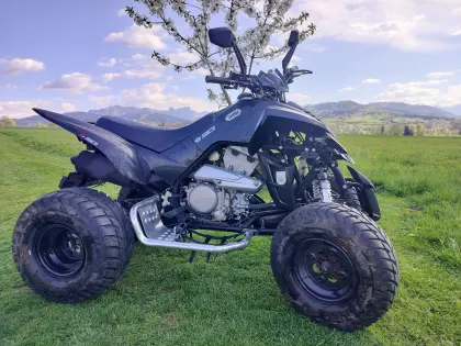 Quad Dinli 450 Special