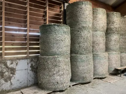 Heuballen 2. Schnitt