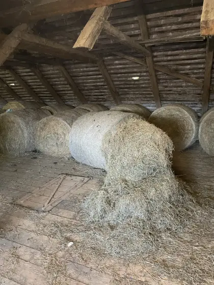 10 Heuballen zu verkaufen