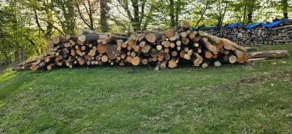 Rundholz Buche/Eiche