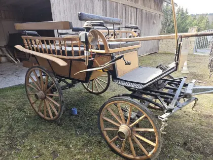 Wagonette mit Linzersitzen