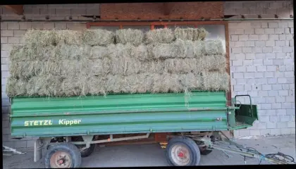 Heu in Kleinballen