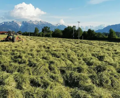 Heu und Grummet inkl. Lieferung, Rundballen, Heuballen