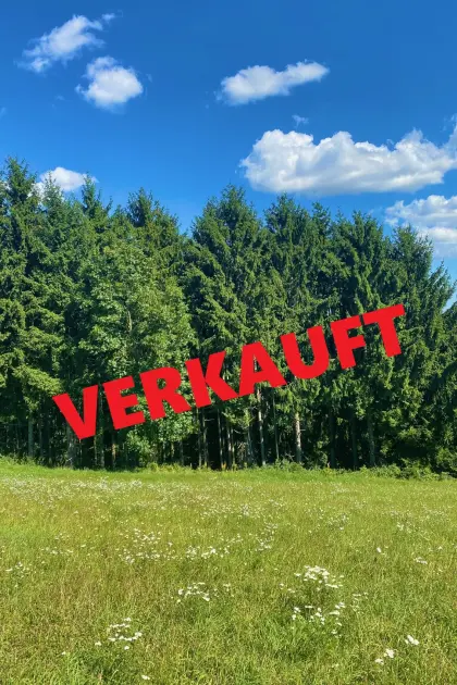 Waldgrundstück       VERKAUFT