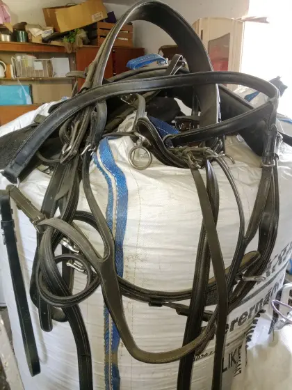 Einspänner Geschirr