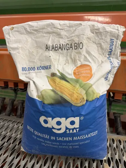 Bio-Mais-Saatgut