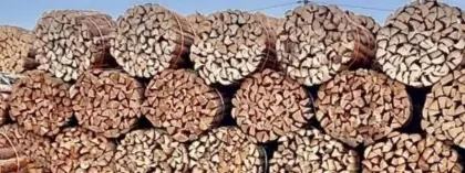 Brennholz Fichte, Kiefer