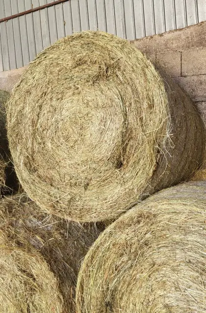 Heurundballen