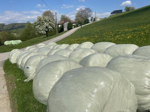 Siloballen 3. Schnitt