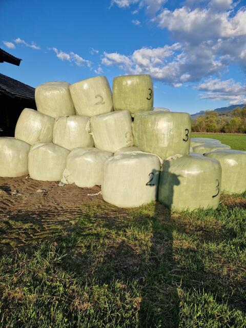 Siloballen 2./3. Schnitt