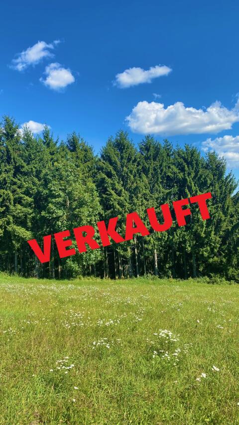 Waldgrundstück       VERKAUFT