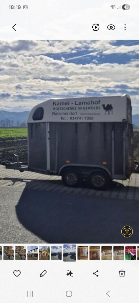 Pferdeanhänger
