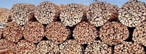 Brennholz Fichte, Kiefer