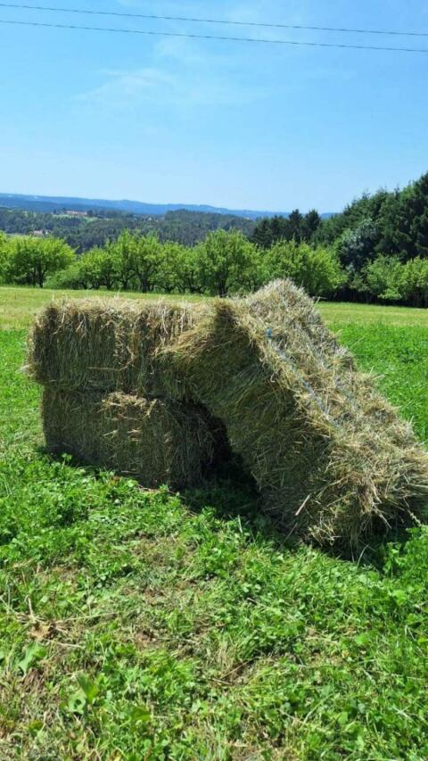 Heu Kleinballen
