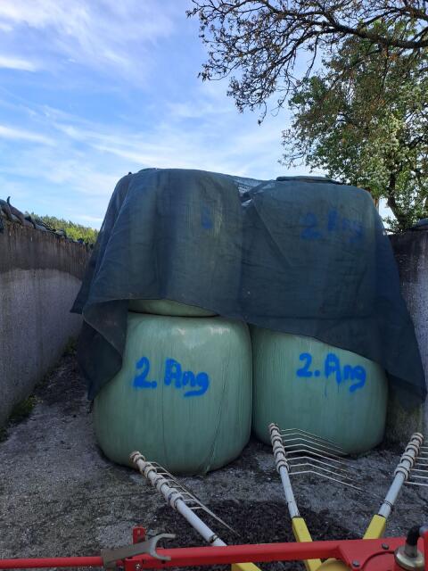 Siloballen 2. Schnitt