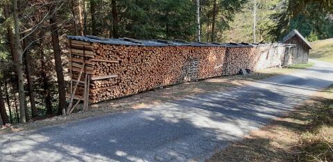 Holz