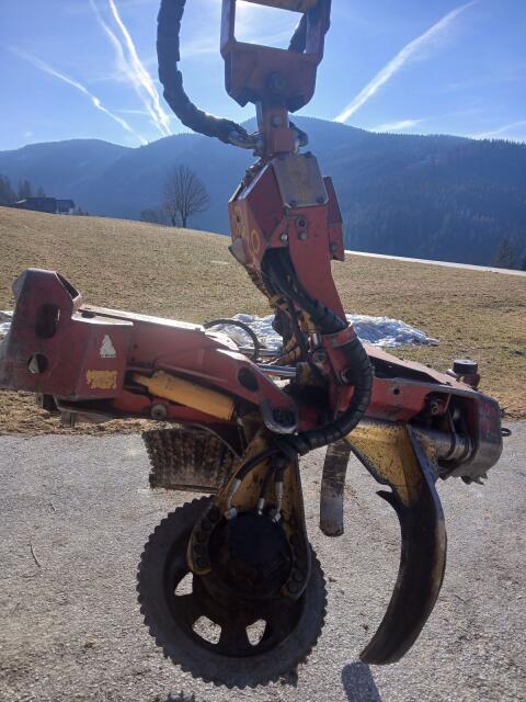 Woody 60