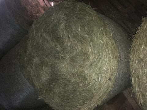 Heu-Rundballen