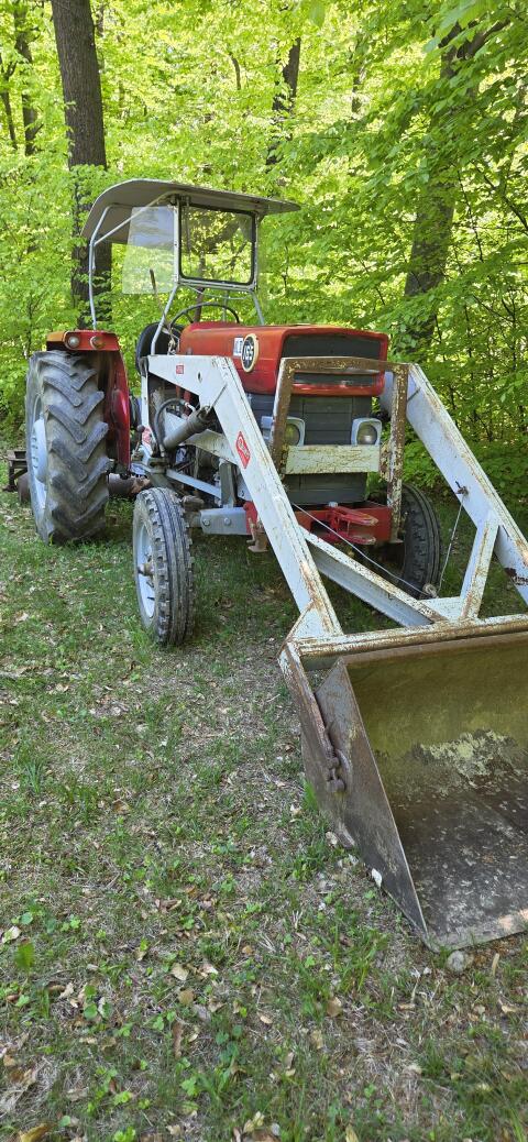 Massey Ferguson 165 mit Hauer Frontlader