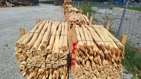 Robinienpfähle 2 m 8–10 cm, € 936,-/Palette, sofort verfügbar