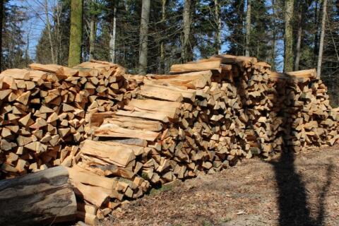Buchenbrennholz
