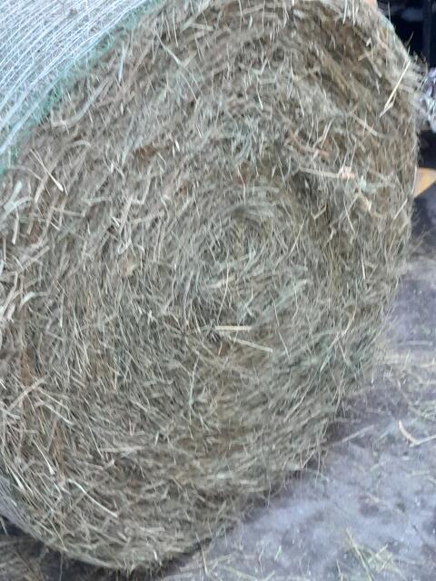 Heuballen 2. Schnitt