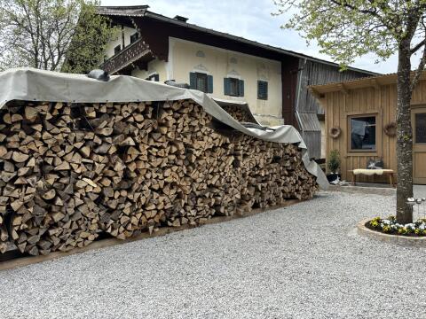 Buchenbrennholz