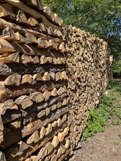 Brennholz