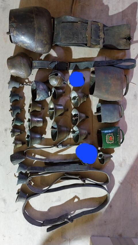 27 Stk. Kuhglocken Glocken Almabtrieb Weideglocken