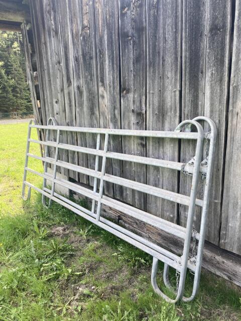 Weidepanel 1 x 3,0 m und 1 x 3,60 m, Höhe 1,45 m
