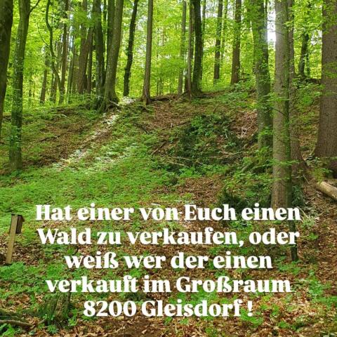 Wald gesucht