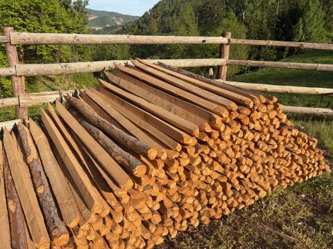 Lärchenstipfel 1,8 m