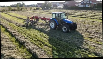 Lohnarbeit mit Fella Seitenschwader 1452