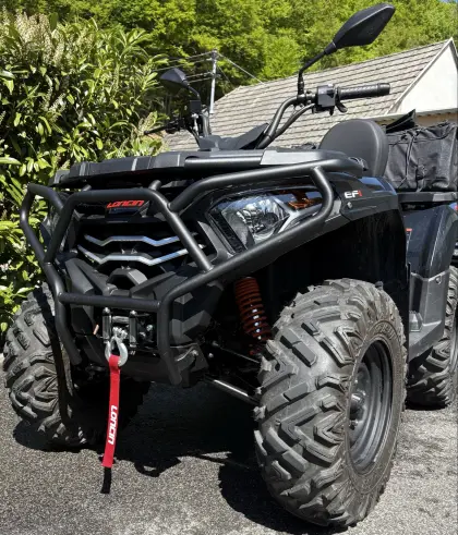 Quad 300 ccm