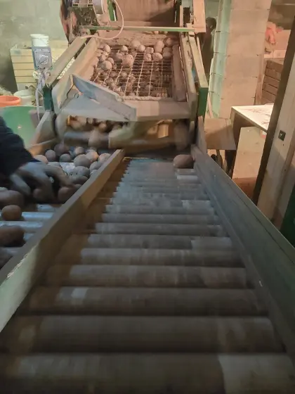 Verkaufe Bio Hermes, Agria