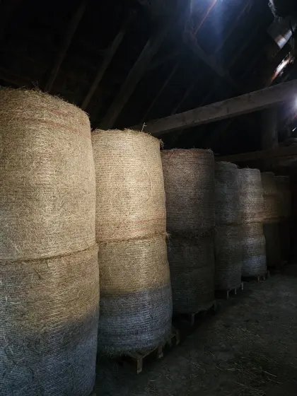 Heuballen 1. und 2. Schnitt