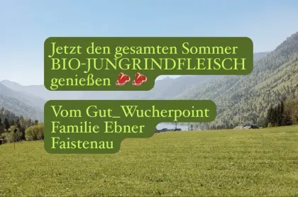 Bio-Jungrindfleisch