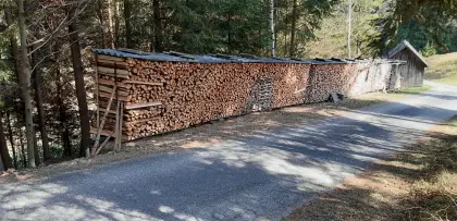 Holz