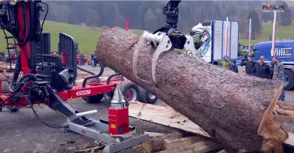 Mobiles Holzspalten: Effizienz direkt am Rückewagen