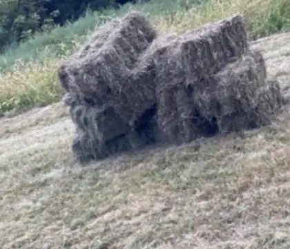 Heu in Kleinballen