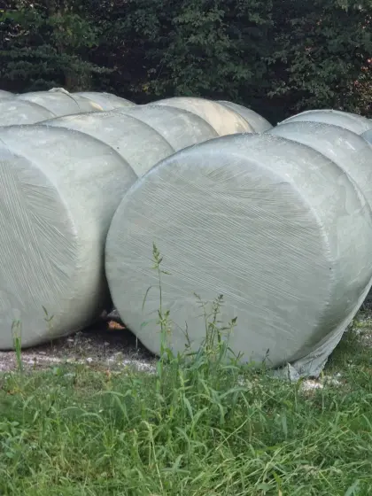 Maissilageballen