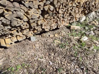 Brennholz im Bündel