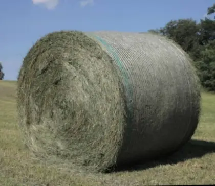 Heu, Heuballen, Heurundballen 1. und 2. Schnitt