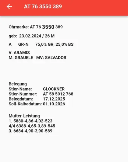 Verkaufe Bio GR/BS Kalbin